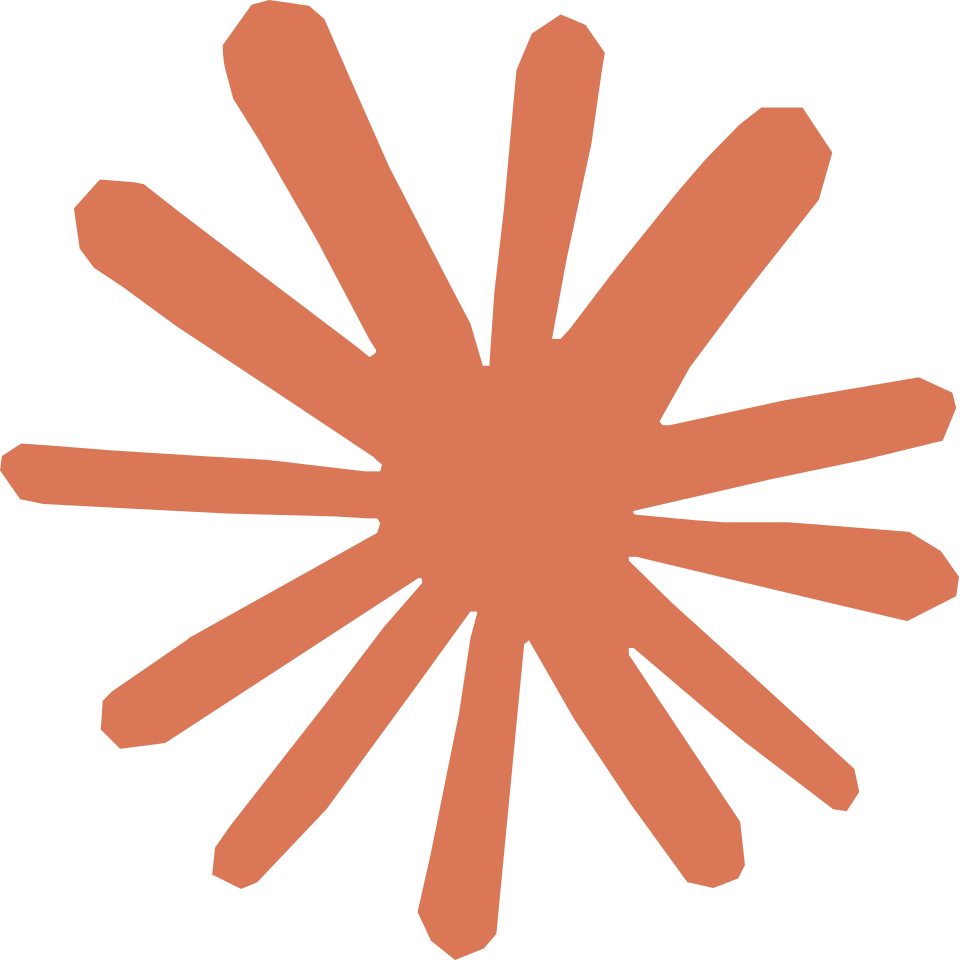 app developers solid orange starburst shape with ten unevenly spaced, thick rays on a light gray background, representing the creative energy behind tiny screen labs' app development and digital solutions. tiny screen labs